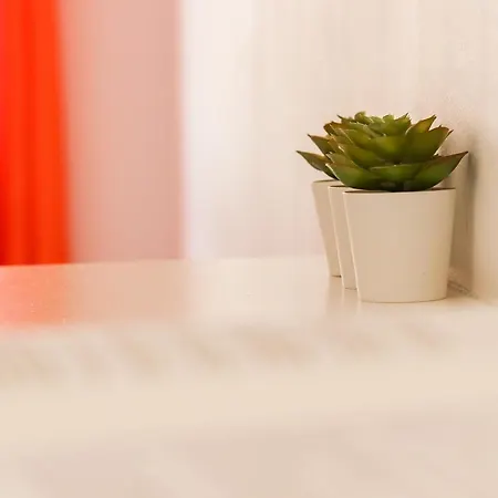 Downtown Palma By Hosty Affittacamere